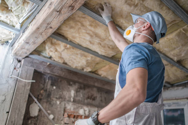 Best Energy Efficiency Insulation in Dewitt, IA