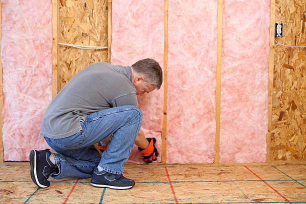 Best Insulation Maintenance and Repair in Dewitt, IA