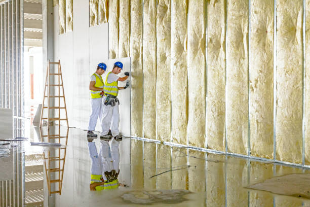 Best Spray Foam Insulation in Dewitt, IA